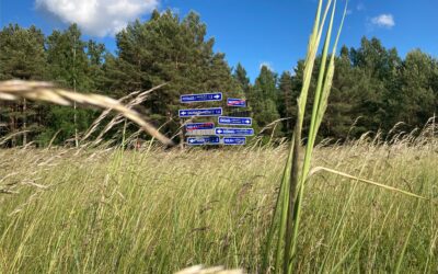 The Livonian Summer University opens in Kuoštrõg (Košrags)