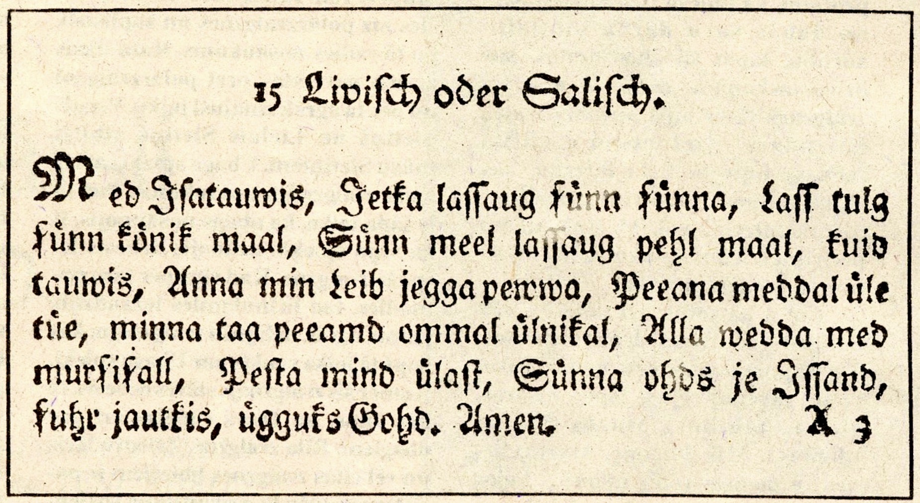Kādu valodu runāja Vidzemes lībieši