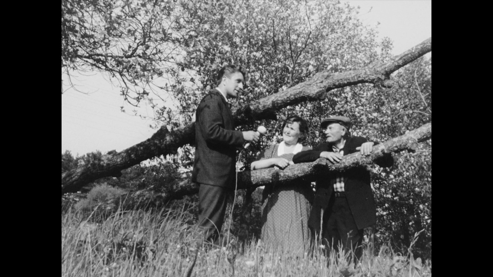 Lībiešu filmu vakars