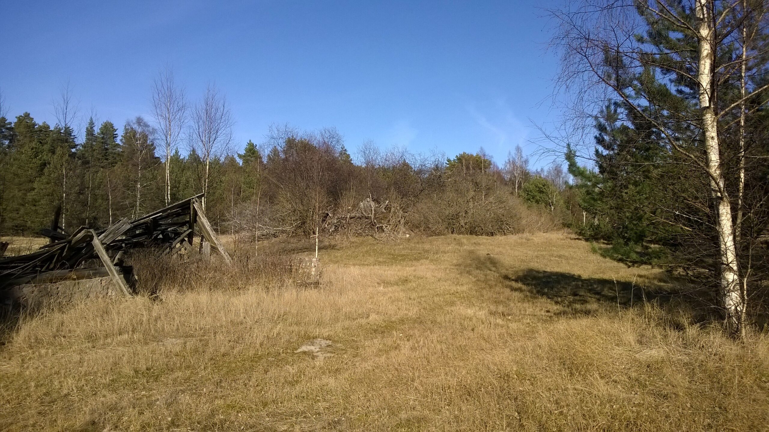 Par lībiešu krastu Kurzemē: atskats laikā