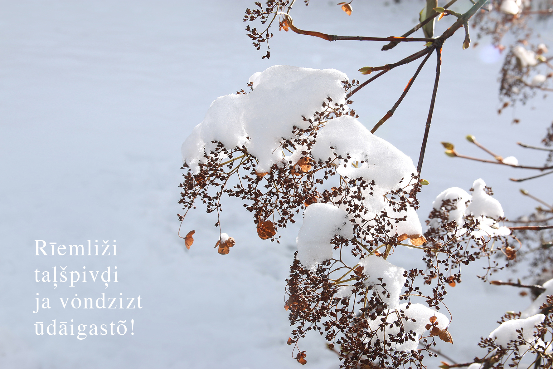 Ziemassvētku gaidīšana. Taļšpivād vȯdlimi