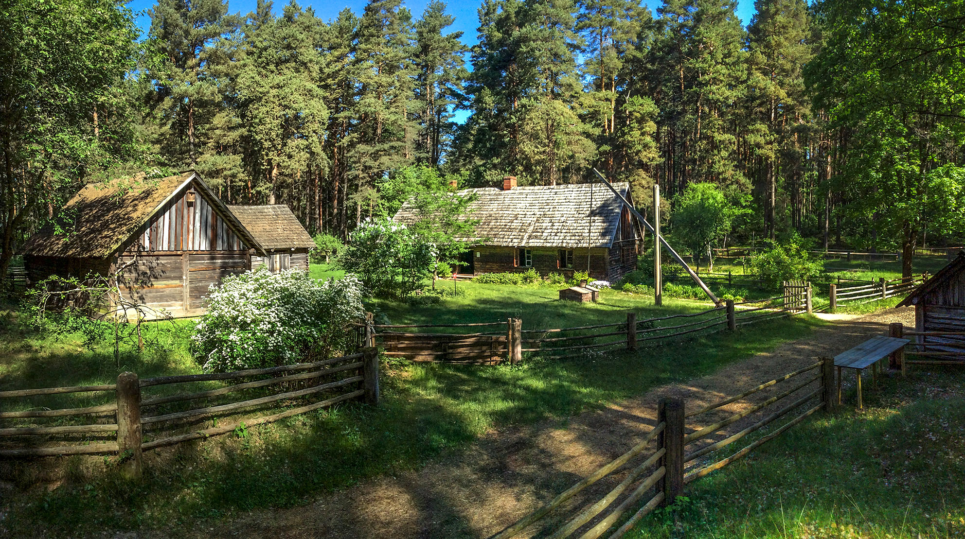 Brīvdabas muzejam – 100