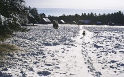 Valsts atbalsts lībiešiem 2026. gadā